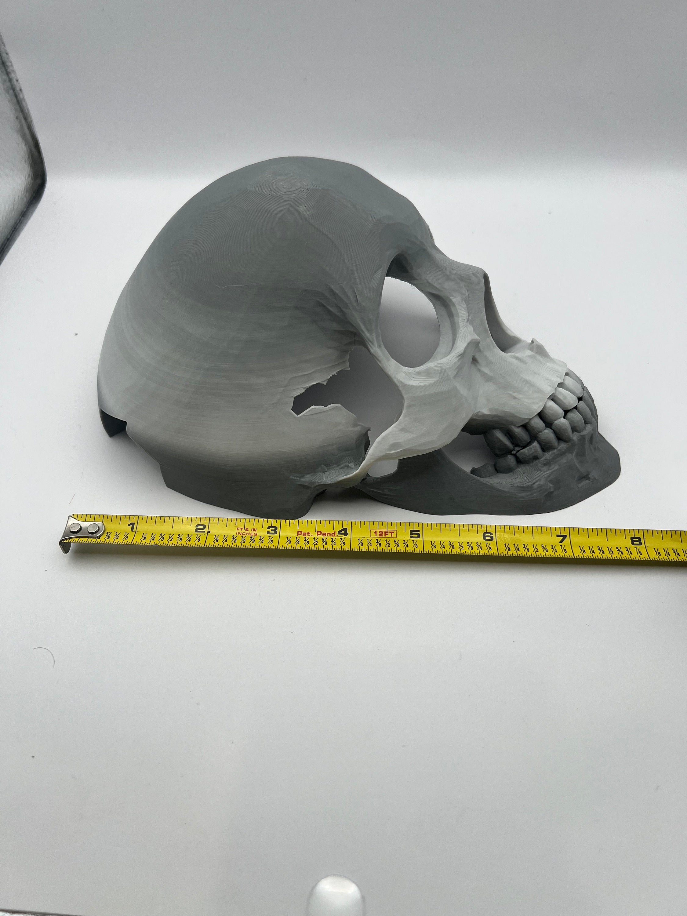 Skull Reptile Hide for lizards, chameleons, snakes, spiders, tarantulas and more