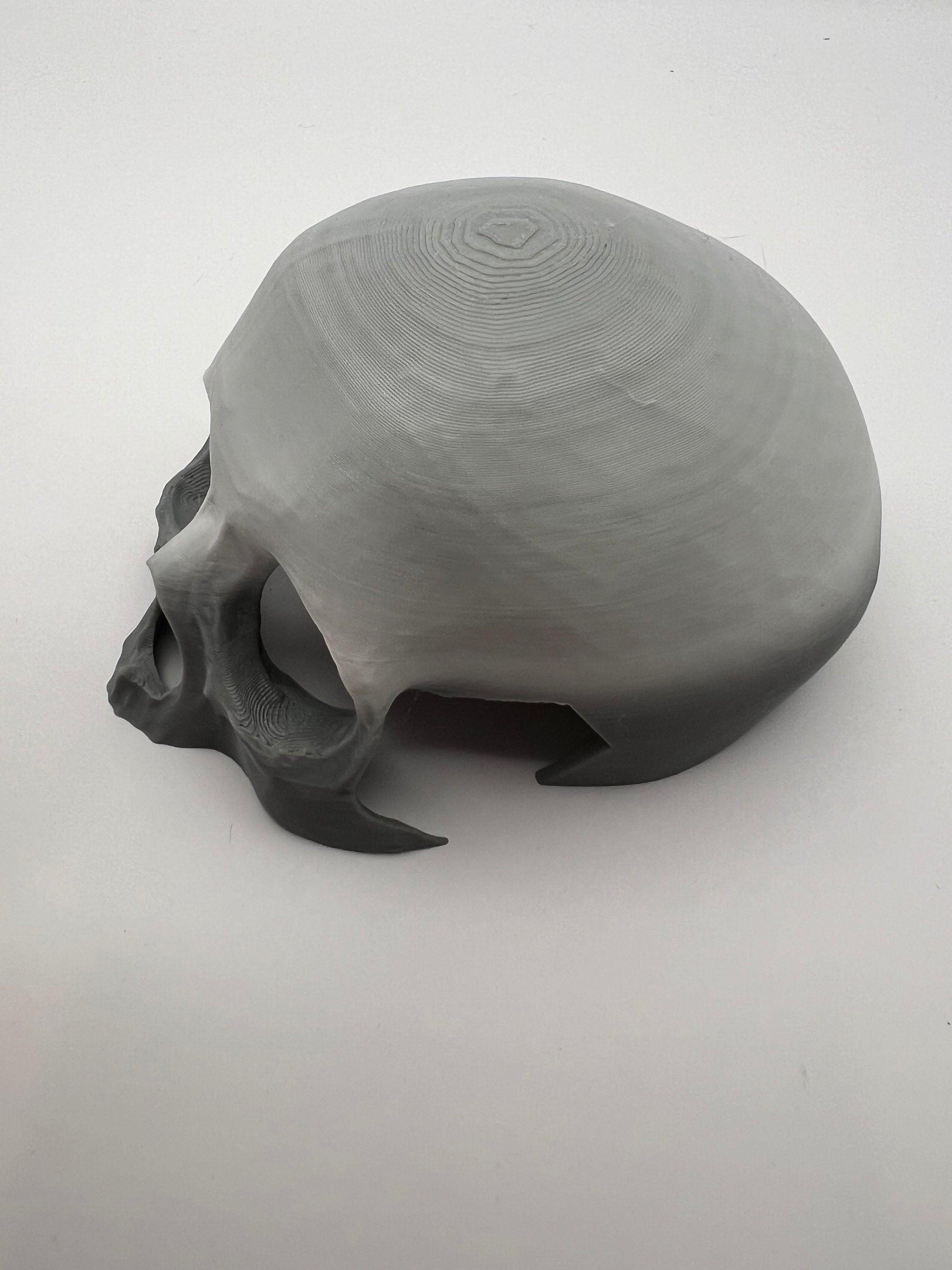 Skull Reptile Hide for lizards, chameleons, snakes, spiders, tarantulas and more