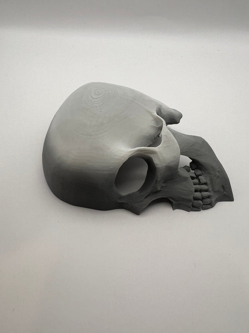 3D-Printed Skull Reptile Hide — 3D-printed product by Truly Innovative Concepts