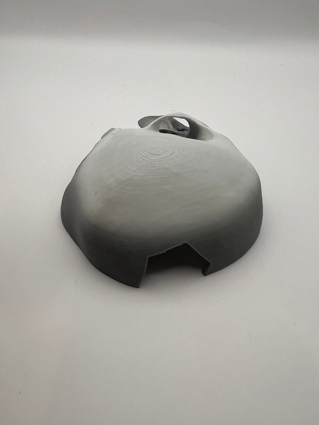 Skull Reptile Hide for lizards, chameleons, snakes, spiders, tarantulas and more