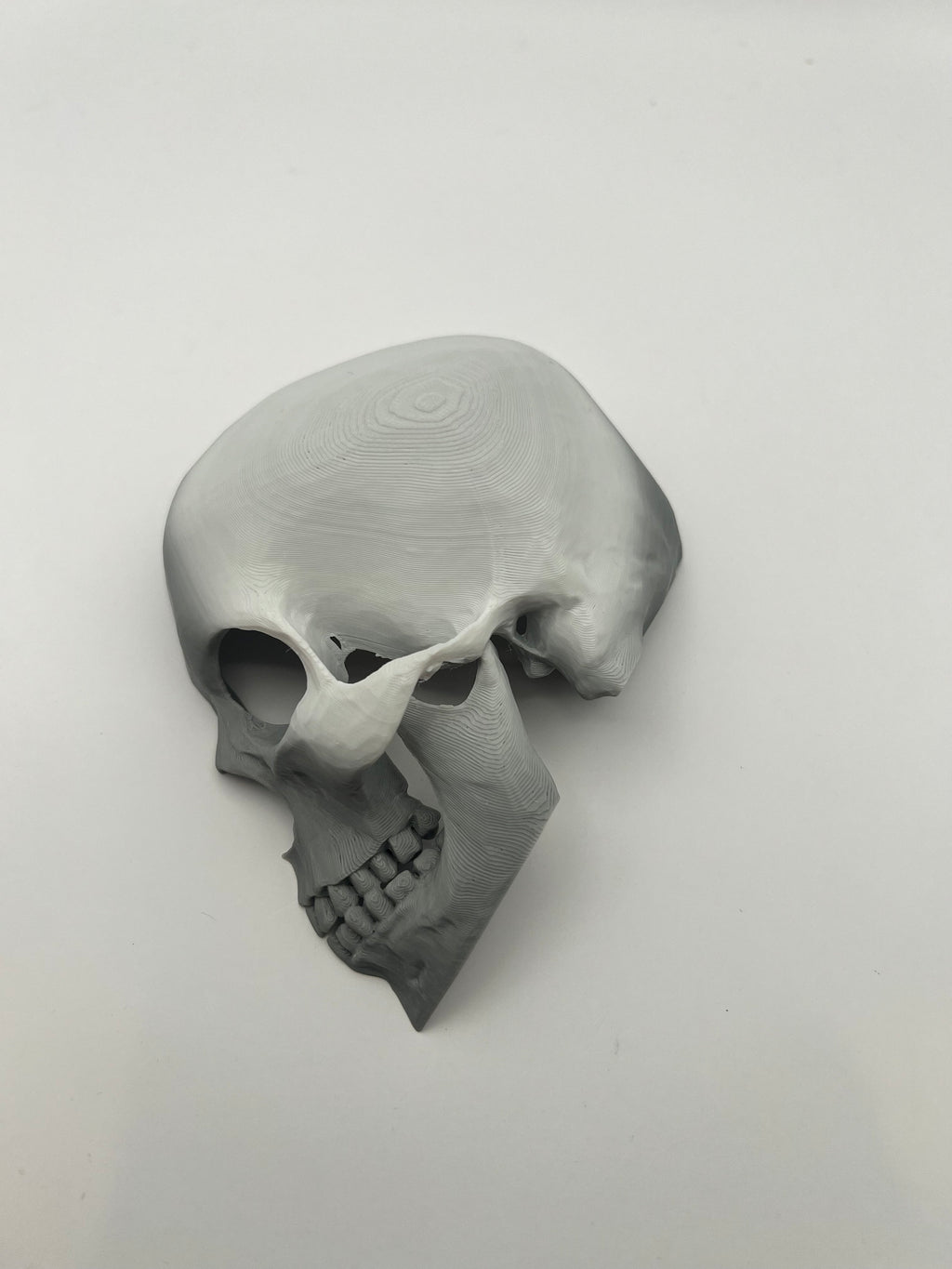 Skull Reptile Hide for lizards, chameleons, snakes, spiders, tarantulas and more