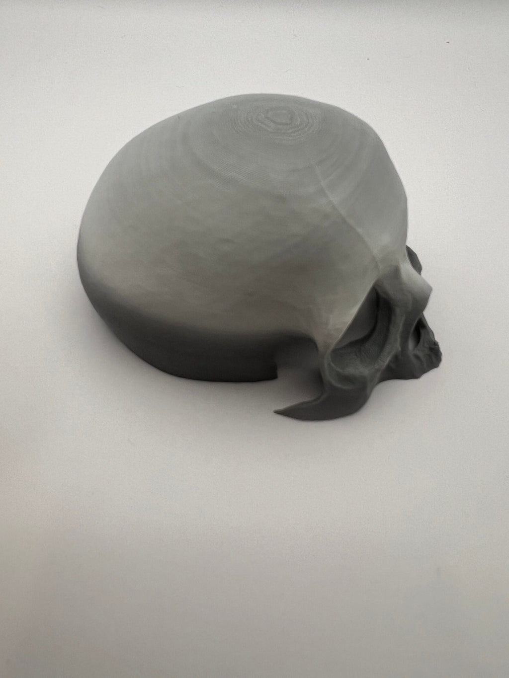 Skull Reptile Hide for lizards, chameleons, snakes, spiders, tarantulas and more