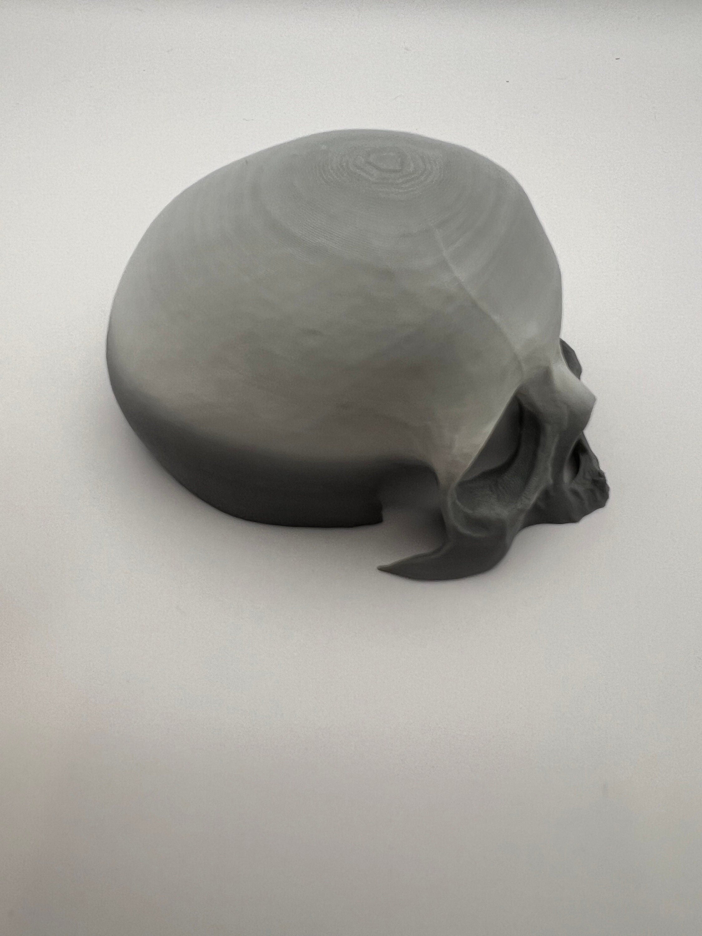 Skull Reptile Hide for lizards, chameleons, snakes, spiders, tarantulas and more