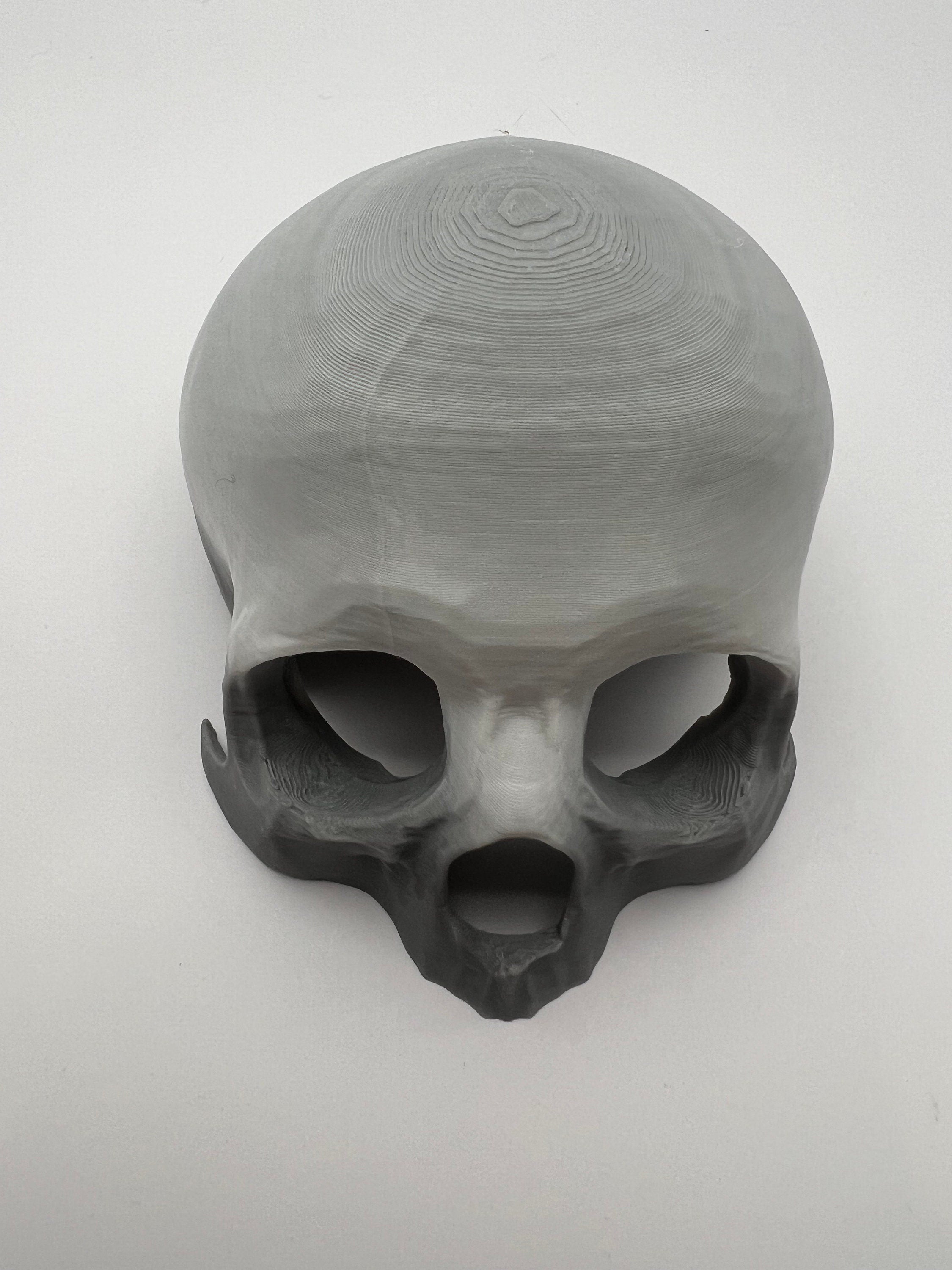 Skull Reptile Hide for lizards, chameleons, snakes, spiders, tarantulas and more