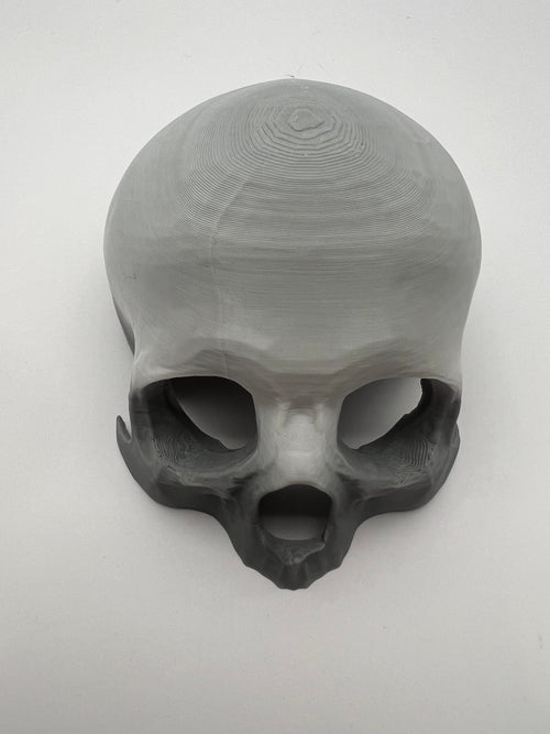 3D-Printed Skull Reptile Hide — 3D-printed product by Truly Innovative Concepts