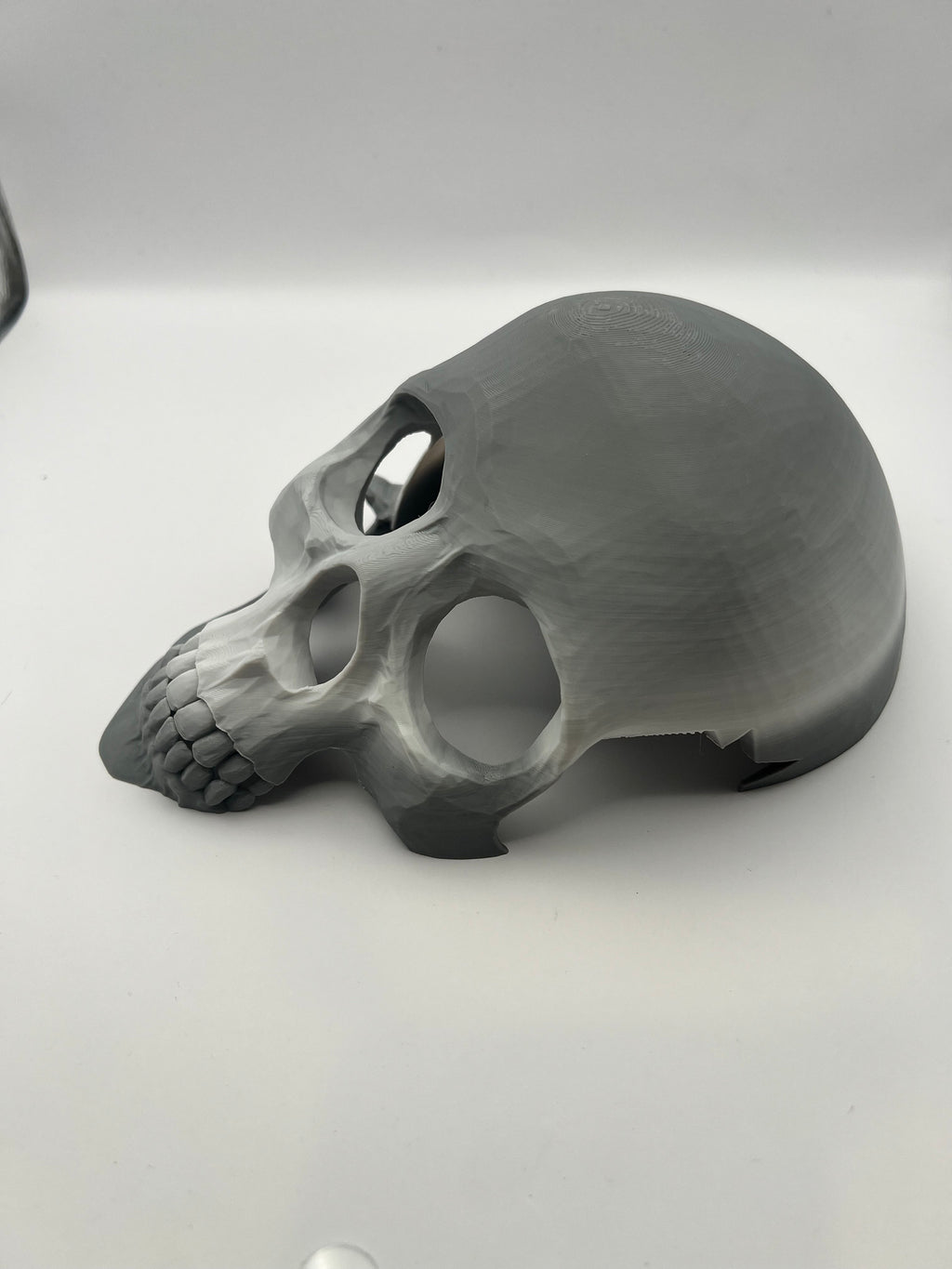 Skull Reptile Hide for lizards, chameleons, snakes, spiders, tarantulas and more