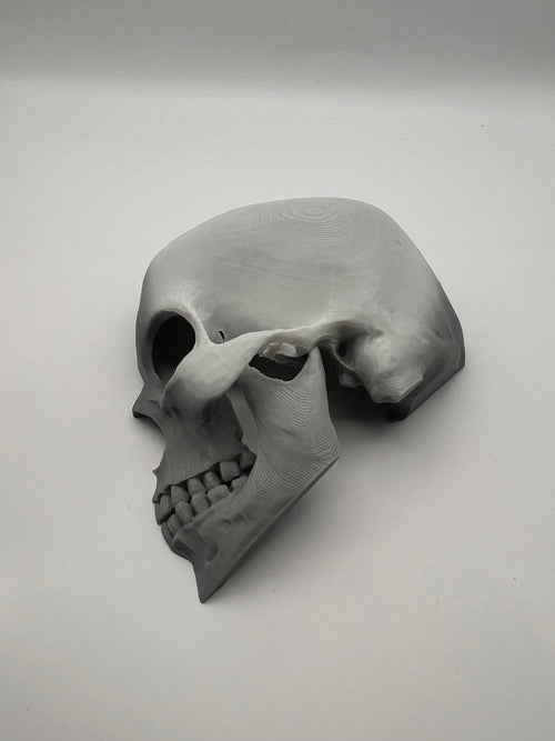 3D-Printed Skull Reptile Hide — 3D-printed product by Truly Innovative Concepts