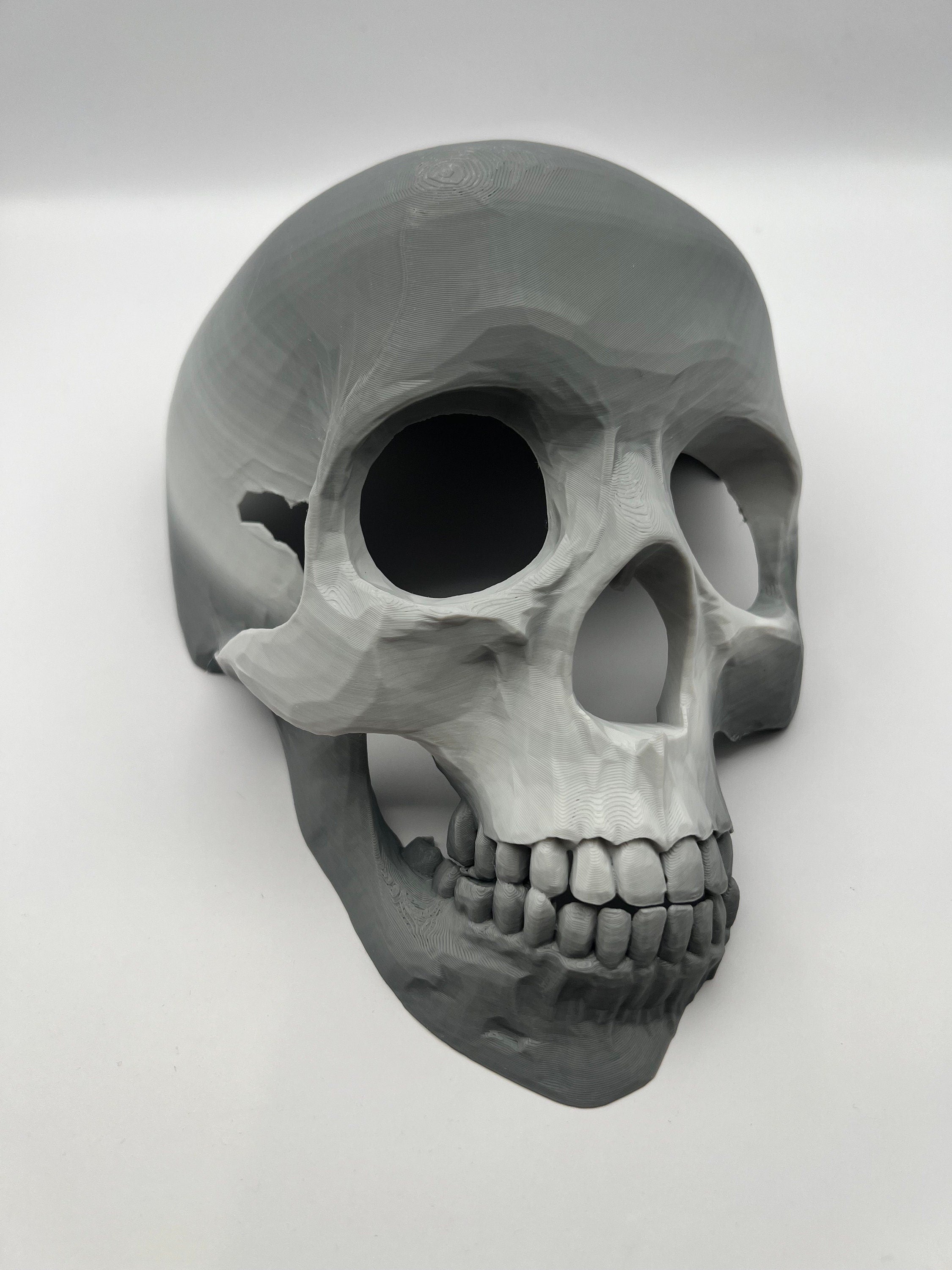 Skull Reptile Hide for lizards, chameleons, snakes, spiders, tarantulas and more