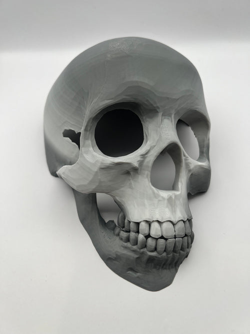 3D-Printed Skull Reptile Hide — 3D-printed product by Truly Innovative Concepts