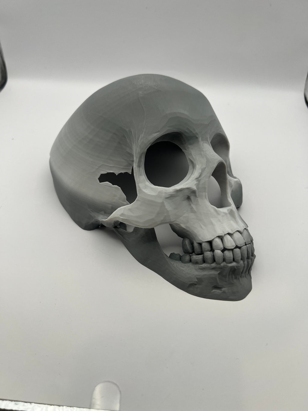Skull Reptile Hide for lizards, chameleons, snakes, spiders, tarantulas and more