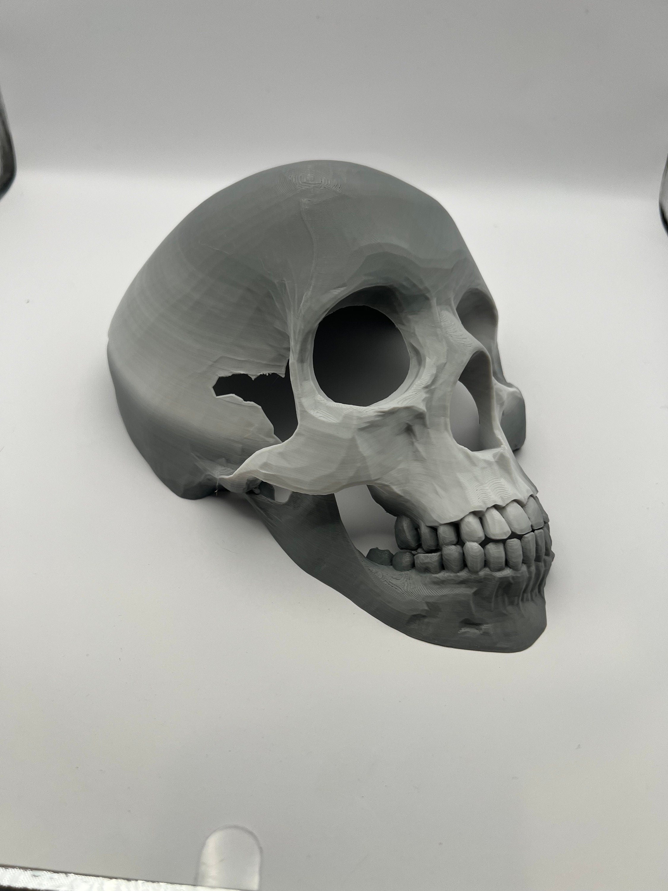 Skull Reptile Hide for lizards, chameleons, snakes, spiders, tarantulas and more