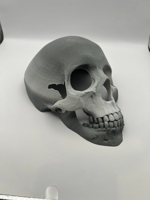 3D-Printed Skull Reptile Hide — 3D-printed product by Truly Innovative Concepts
