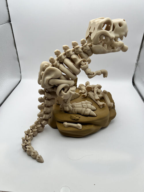 Articulated T-Rex Skeleton: Flexi Dinosaur Desk Toy